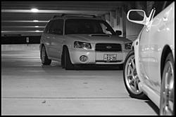 friends forester  (hot)-foresterbw.jpg
