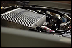 friends forester  (hot)-forestertmic.jpg