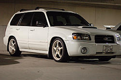 friends forester  (hot)-forester1.jpg