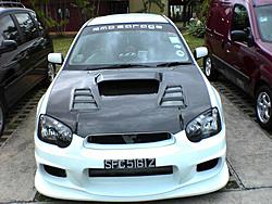 my white rex-22967469014458l.jpg
