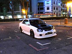 my white rex-dsc00328.jpg