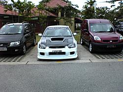 my white rex-dsc00319.jpg