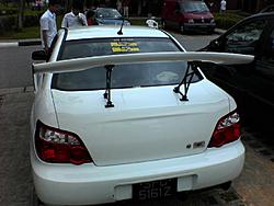 my white rex-dsc00317.jpg