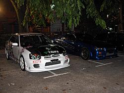 my white rex-covered.jpg