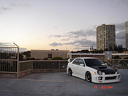 Black Or Gold?-edit-3.jpg