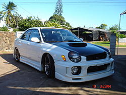 Black Or Gold?-edit-4.jpg