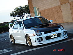 Black Or Gold?-edit-1.jpg