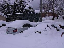 Pics before the storm-snow15small.jpg