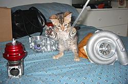 some pictures of my old cars-cat-turbo-wastegate..jpg
