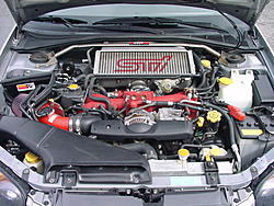 Been Busy! got some pics for ya-dsc00061.jpg
