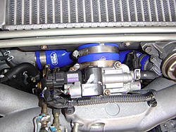 New Pictures-dsc07683.jpg