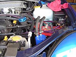 New Pictures-dsc07700.jpg