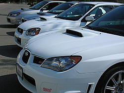 4 Sick Subies!-closesideview.jpg
