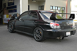 a couple more in the mud-wp120004.jpg