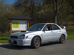 Northern Bugeye-_4140977_new_small.jpg