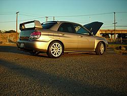 couple of lucky shots.........-dscn0851-medium-.jpg