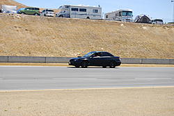 MOST  recent pics. ... sort of ... few newer things-dsc_0397.jpg