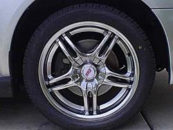 My Rex's new look-picture-2-003.jpg