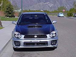 My Rex's new look-picture-005.jpeg