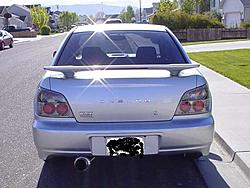 My Rex's new look-picture-004.jpg