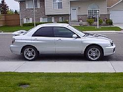 My Rex's new look-picture-2-007.jpg