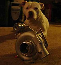 Look what I can do!-newtarby1.jpg