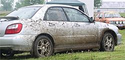 Dirty REX!!-small-dirty-rex.jpg