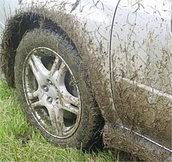 Dirty REX!!-dirty-dirty.jpg