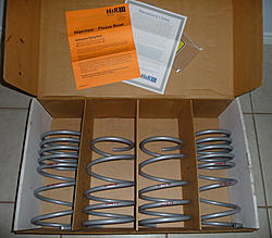 New Pictures-p1010683.jpg