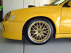 sonic on gold rims-dsc00008saveforweb.jpg