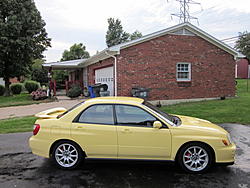 Johndabrit's bugeye-img_0116.jpg