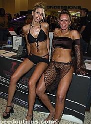 Unpainted Car Club??-pic688.jpg