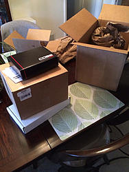 PROcede's WRB Journal-image-1888794369.jpg