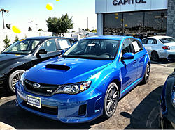 PROcede's WRB Journal-image-1846089562.jpg