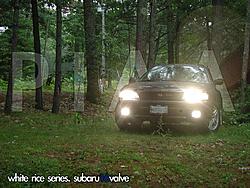 Black 98 L-whiterice.jpg