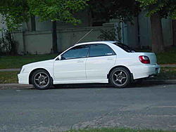 NEW Tein/Rota/Muteki Combo-tein2.jpg