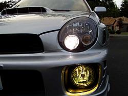 finally Some PIcs For you to see.........-forweb3.jpg