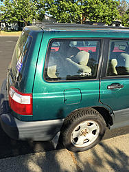 Project Floorester-image-2705295621.jpg