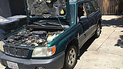 Project Floorester-image-1907625708.jpg