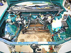 Project Floorester-image-1448591888.jpg