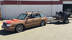 Project Floorester-image-1678512039.jpg