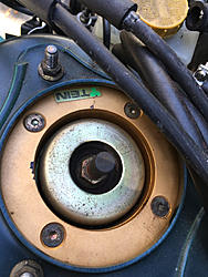 Project Floorester-image-2914366063.jpg