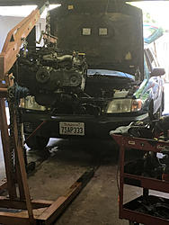 Project Floorester-image-1464094759.jpg