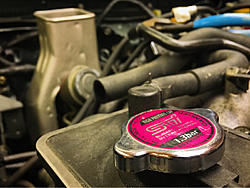 Project Floorester-image-4291011104.jpg