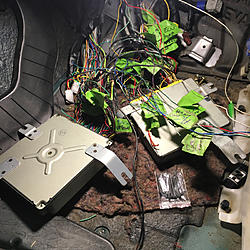 Project Floorester-image-261212741.jpg