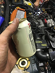 Project Floorester-image-4048970158.jpg