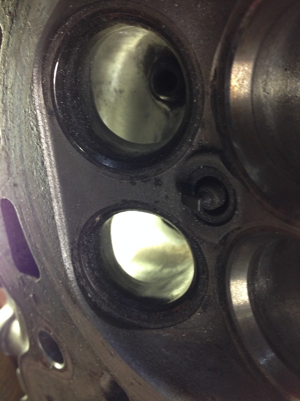 Name:  IMG_1916.jpg
Views: 220
Size:  109.7 KB