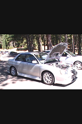 Name:  photo-5.png
Views: 62
Size:  156.2 KB