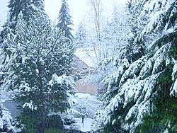 Snow pics-snow1.jpg