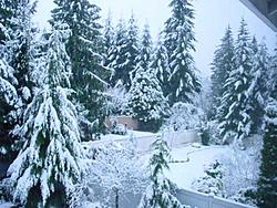 Snow pics-snow2.jpg